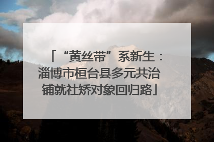 “黄丝带”系新生：淄博市桓台县多元共治铺就社矫对象回归路