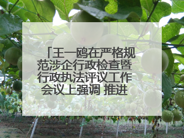 王一鸥在严格规范涉企行政检查暨行政执法评议工作会议上强调 推进涉企行政检查质效大幅提升