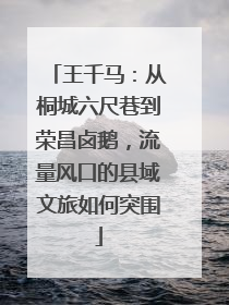 王千马：从桐城六尺巷到荣昌卤鹅，流量风口的县域文旅如何突围
