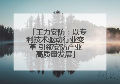 王力安防：以专利技术驱动行业变革 引领安防产业高质量发展