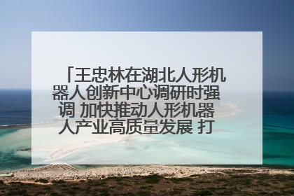 王忠林在湖北人形机器人创新中心调研时强调 加快推动人形机器人产业高质量发展 打造具有全国影响力的研发创新基地