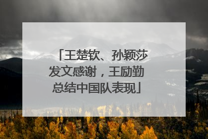 王楚钦、孙颖莎发文感谢，王励勤总结中国队表现