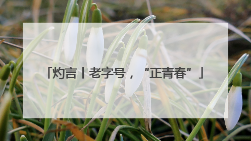 灼言丨老字号，“正青春”