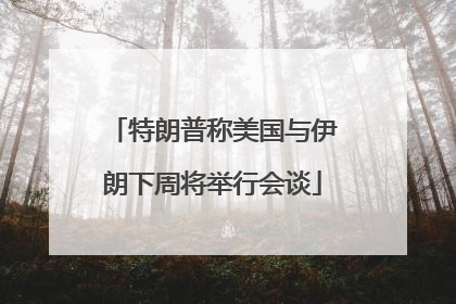 特朗普称美国与伊朗下周将举行会谈