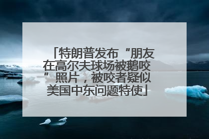 特朗普发布“朋友在高尔夫球场被鹅咬”照片，被咬者疑似美国中东问题特使