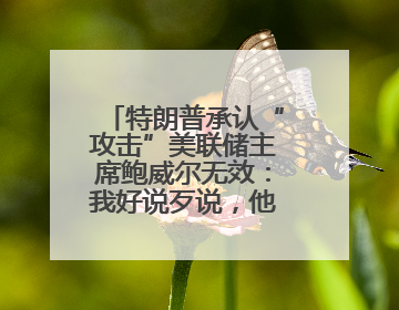 特朗普承认“攻击”美联储主席鲍威尔无效：我好说歹说，他就是不降息