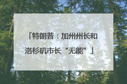 特朗普：加州州长和洛杉矶市长“无能”