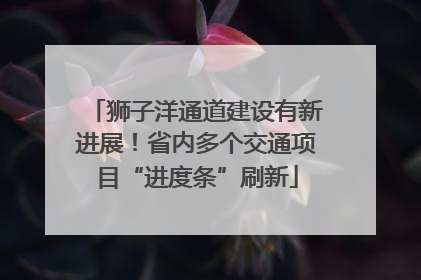 狮子洋通道建设有新进展！省内多个交通项目“进度条”刷新