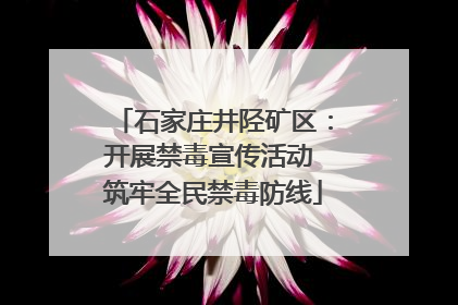 石家庄井陉矿区：开展禁毒宣传活动 筑牢全民禁毒防线