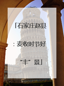 石家庄赵县：麦收时节好“丰”景