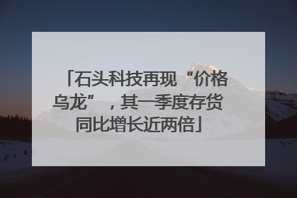 石头科技再现“价格乌龙”，其一季度存货同比增长近两倍