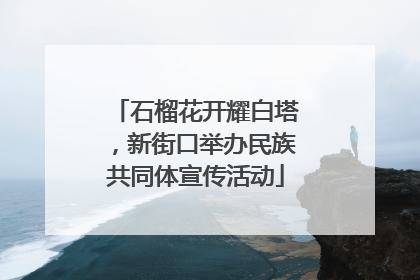 石榴花开耀白塔，新街口举办民族共同体宣传活动