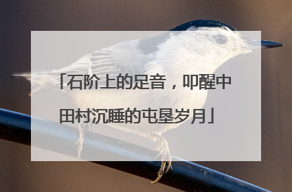 石阶上的足音，叩醒中田村沉睡的屯垦岁月