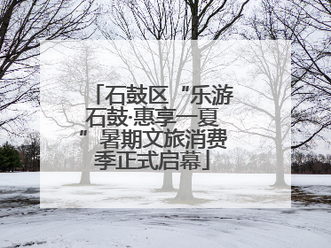 石鼓区“乐游石鼓·惠享一夏”暑期文旅消费季正式启幕