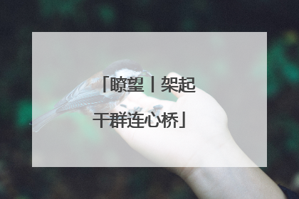 瞭望丨架起干群连心桥