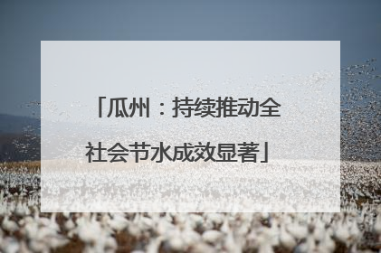 瓜州：持续推动全社会节水成效显著