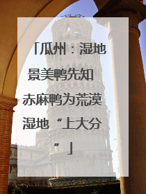 瓜州：湿地景美鸭先知 赤麻鸭为荒漠湿地“上大分”