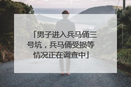 男子进入兵马俑三号坑，兵马俑受损等情况正在调查中