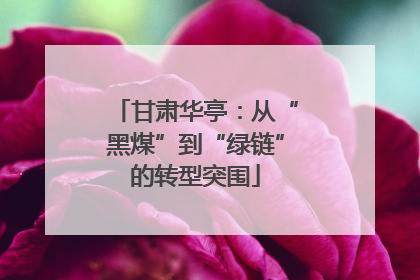 甘肃华亭：从“黑煤”到“绿链”的转型突围
