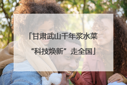 甘肃武山千年浆水菜“科技焕新”走全国