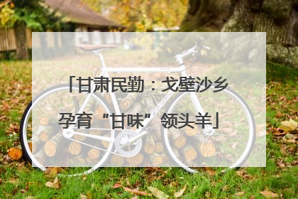 甘肃民勤：戈壁沙乡孕育“甘味”领头羊
