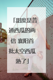 甜度是普通西瓜的两倍 襄阳首批太空西瓜熟了