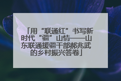 用“联通红”书写新时代“疆”山情——山东联通援疆干部郝兆武的乡村振兴答卷