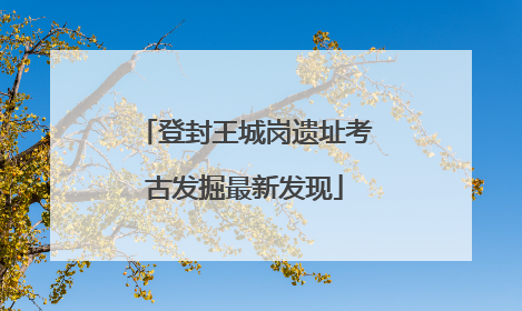 登封王城岗遗址考古发掘最新发现