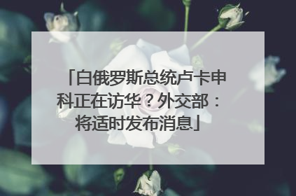 白俄罗斯总统卢卡申科正在访华？外交部：将适时发布消息