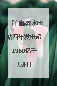 白鹤滩水电站四年发电超1960亿千瓦时