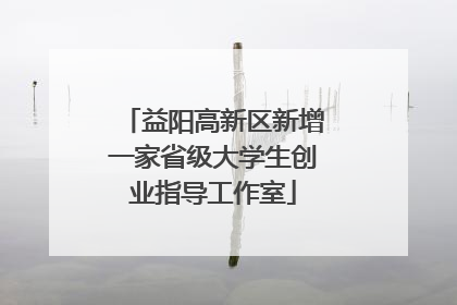 益阳高新区新增一家省级大学生创业指导工作室