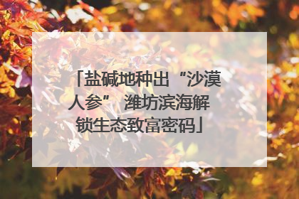 盐碱地种出“沙漠人参” 潍坊滨海解锁生态致富密码