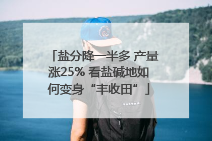 盐分降一半多 产量涨25% 看盐碱地如何变身“丰收田”