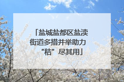 盐城盐都区盐渎街道多措并举助力“秸”尽其用