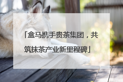 盒马携手贵茶集团，共筑抹茶产业新里程碑