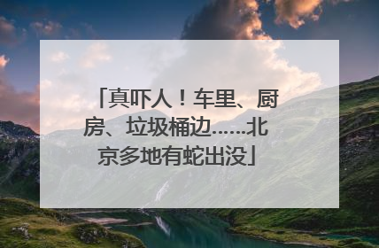 真吓人！车里、厨房、垃圾桶边……北京多地有蛇出没