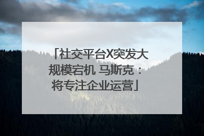 社交平台X突发大规模宕机 马斯克：将专注企业运营