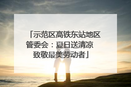 示范区高铁东站地区管委会：夏日送清凉 致敬最美劳动者