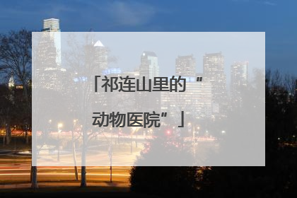祁连山里的“动物医院”