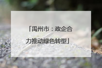 禹州市：政企合力推动绿色转型