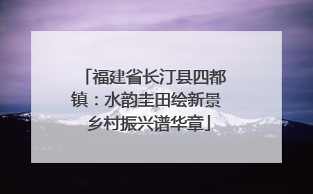 福建省长汀县四都镇：水韵圭田绘新景 乡村振兴谱华章