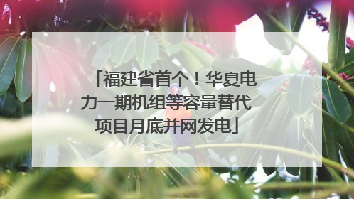 福建省首个！华夏电力一期机组等容量替代项目月底并网发电