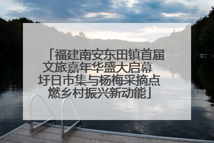 福建南安东田镇首届文旅嘉年华盛大启幕 圩日市集与杨梅采摘点燃乡村振兴新动能