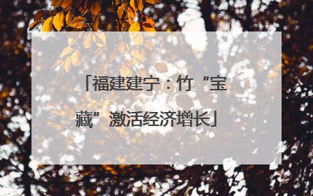 福建建宁：竹“宝藏”激活经济增长