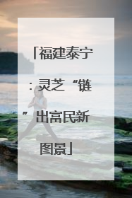 福建泰宁：灵芝“链”出富民新图景