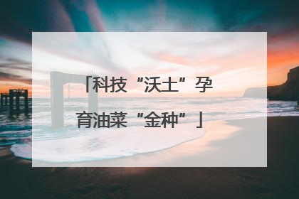 科技“沃土”孕育油菜“金种”