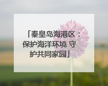 秦皇岛海港区：保护海洋环境 守护共同家园