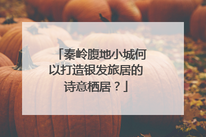 秦岭腹地小城何以打造银发旅居的诗意栖居？