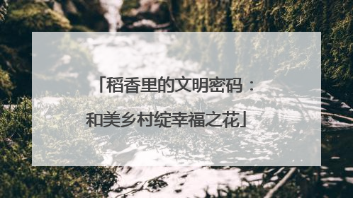稻香里的文明密码：和美乡村绽幸福之花