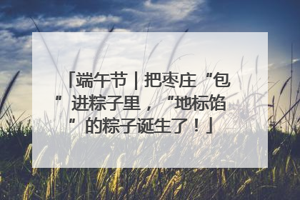 端午节｜把枣庄“包”进粽子里，“地标馅”的粽子诞生了！
